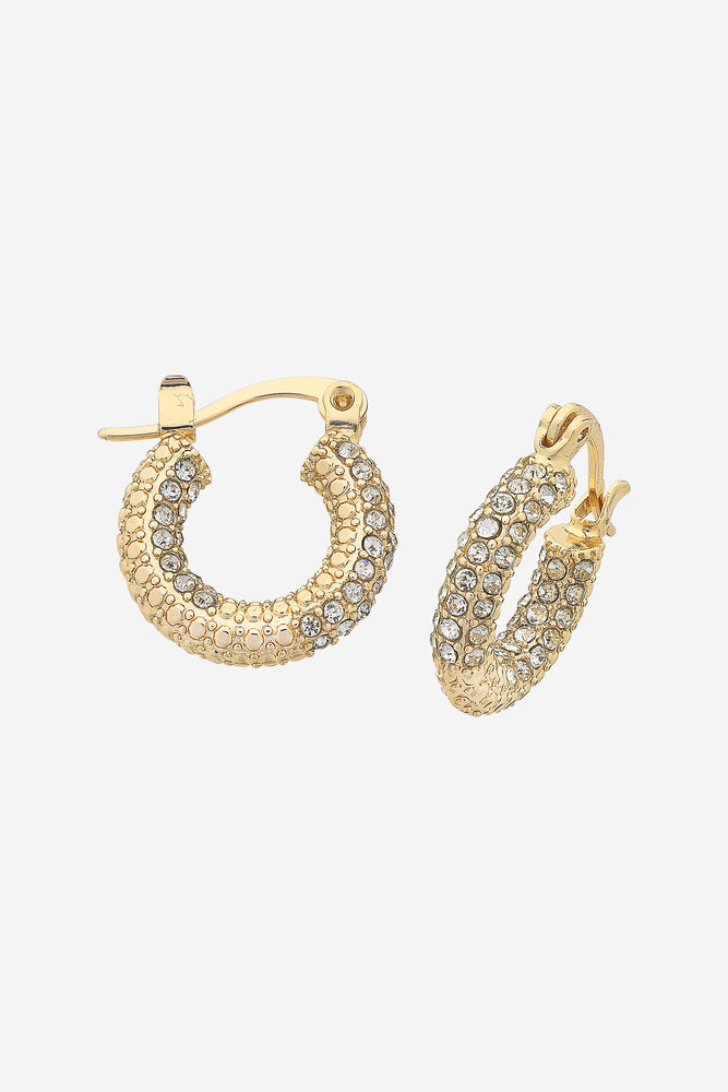 Pascal Gold Earring