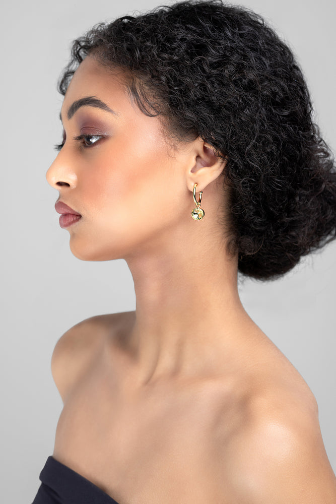 
            
                Load image into Gallery viewer, Sara Gold Clear Earring
            
        